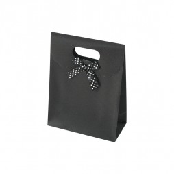 Small Gift bag, with ribbon